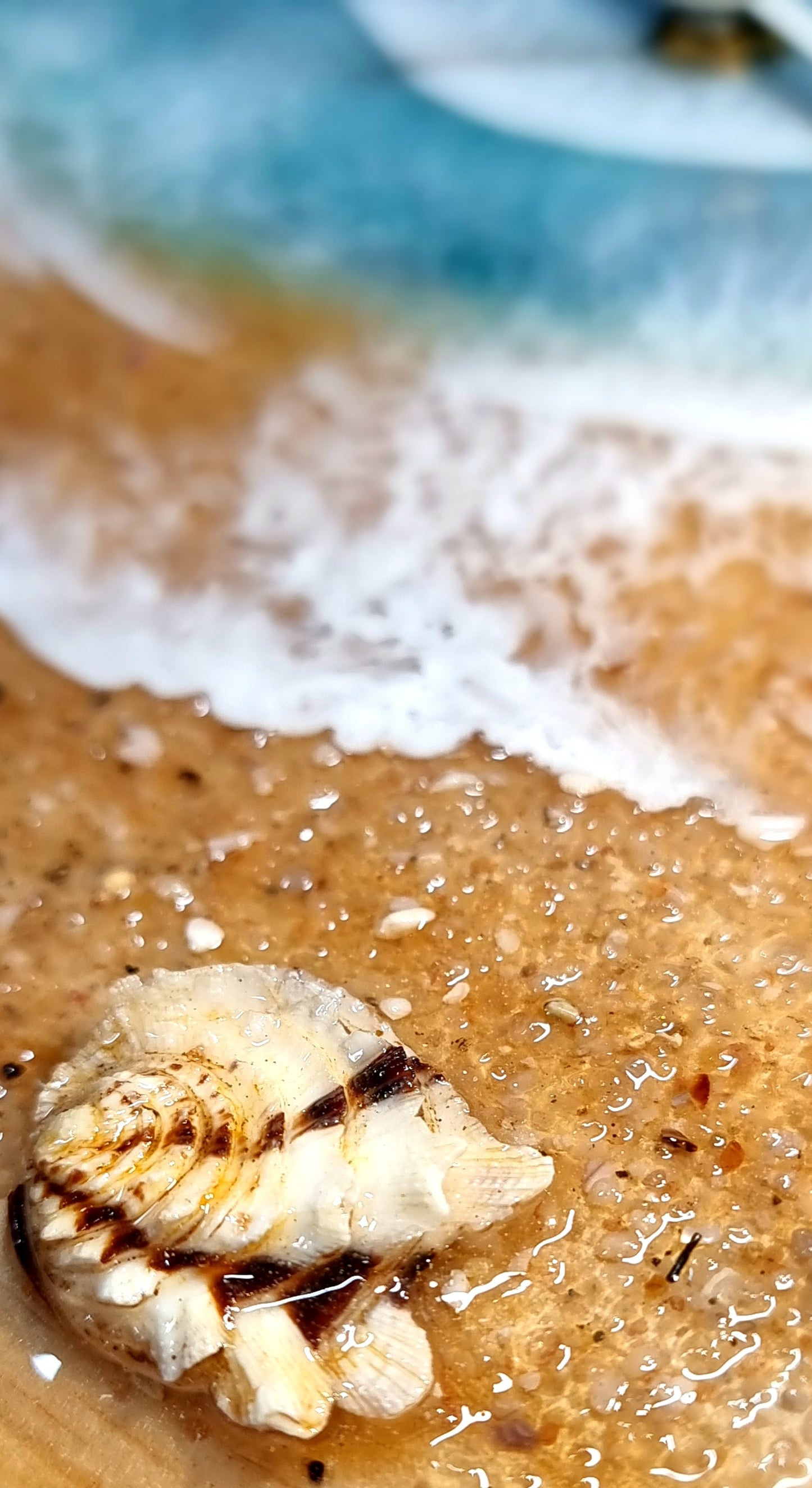 Epoxy Resin Wall Clock Regular (1574) *My Favourite Shell Of All Time*