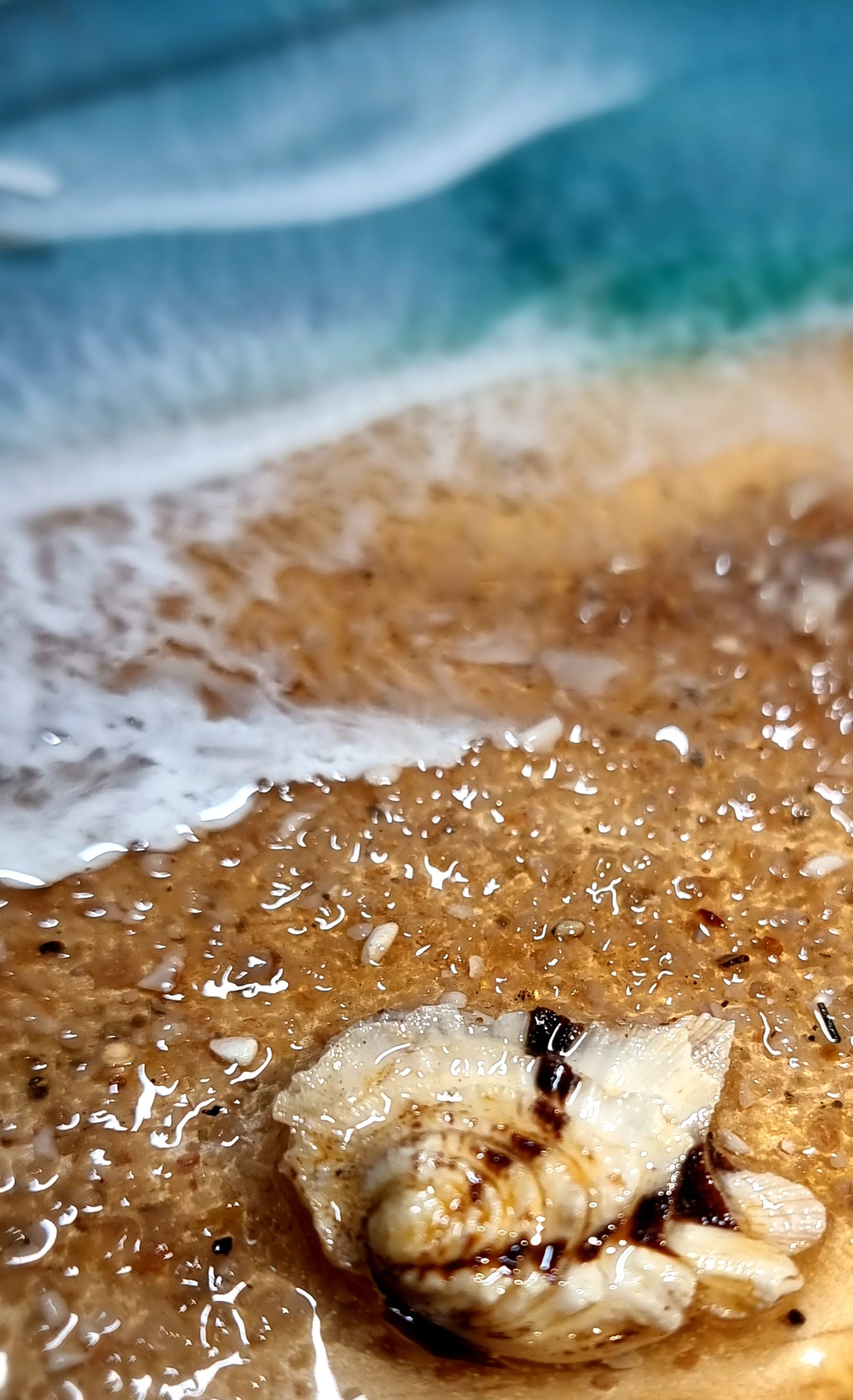Epoxy Resin Wall Clock Regular (1574) *My Favourite Shell Of All Time*
